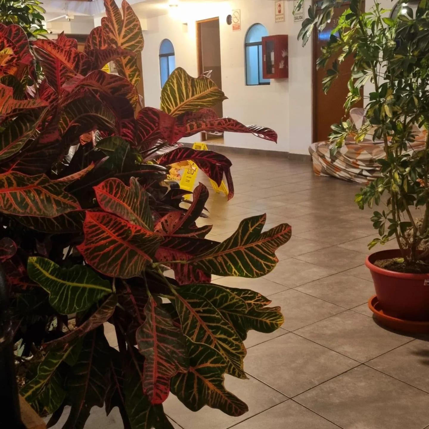 HOSTEL Lima THAY83 MIRAFLORES Ngoại thất bức ảnh